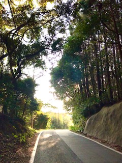 壱岐島の道