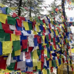 tibetan flags temple
