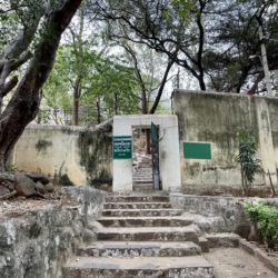 Caveへの道の入口